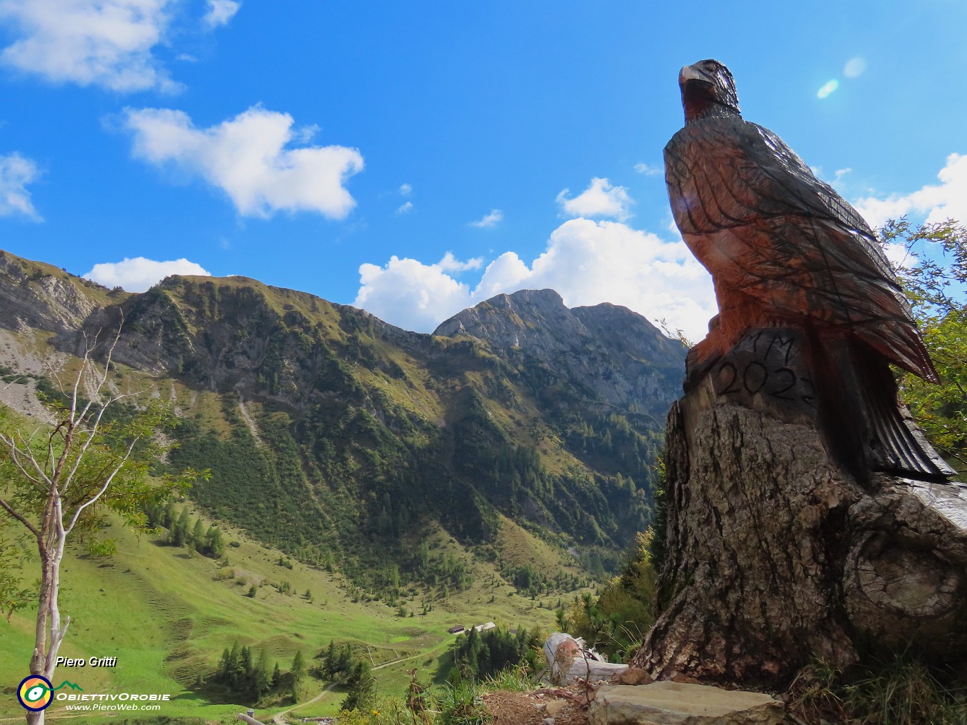 60 L'aquila osserva in alto.JPG